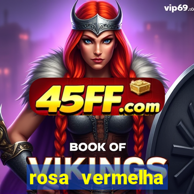 rosa vermelha (letra e cifra)